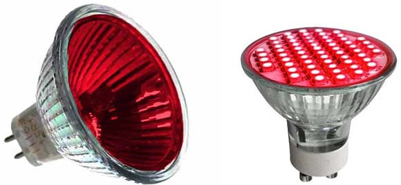 Red Lamps 12V 50W