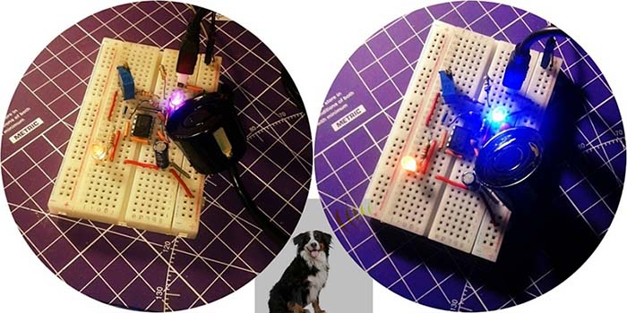 Dog Silencer Breadboard