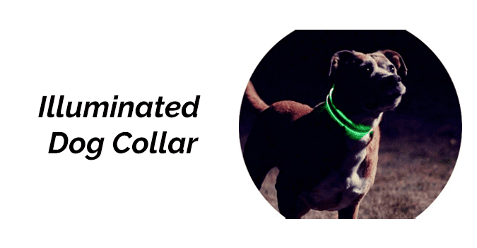 Illuminated Dog Collar